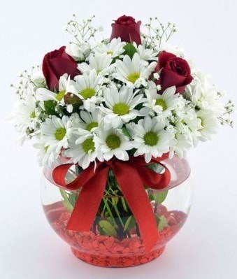 Fanusta 3 Gül ve Papatya  Balgat Ankara çiçek siparişi sitesi 