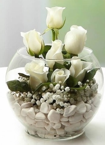 Beyaz Mutluluk 9 beyaz gül fanusta  Ankara internetten çiçek satışı 