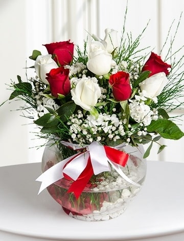 Aşk Küresi  5 beyaz 5 kırmızı gül fanusta  Balgat Ankara çiçek siparişi sitesi 