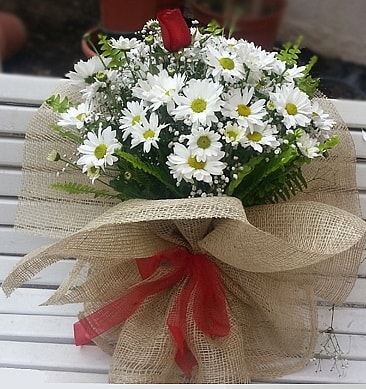 Papatya 1 adet kırmızı gül buketi  Ankara çiçekçi mağazası 