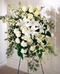  Balgat online çiçek siparişi vermek  Kazablanka gül ve karanfil ferforje