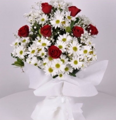 7 adet kırmızı gül ve papatyalar krizantem  Balgat Ankara çiçek siparişi sitesi 