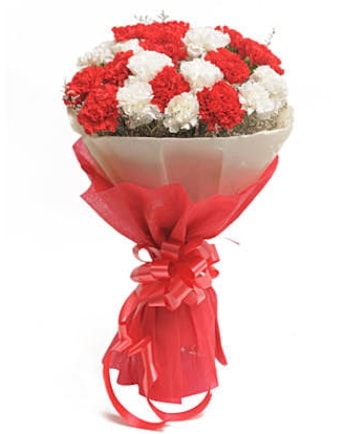 21 adet kırmızı beyaz karanfil buketi  çiçek satışı ankara balgat çiçekçi 