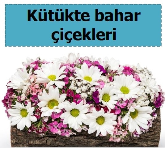 Kütük içerisinde kır çiçekleri  Ankara çiçekçiler hediye çiçek yolla 