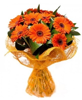 11 adet turuncu gerbera buketi  Ankara çiçekçi mağazası 