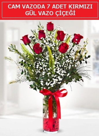 Cam vazoda 7 adet kırmızı gül çiçeği  Ankara İnternetten çiçek siparişi 