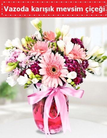 Vazoda karışık mevsim çiçeği  Ankara çiçekçiler hediye çiçek yolla 