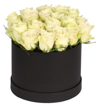 19 adet beyaz gülden görsel kutu çiçeği  Ankara internetten çiçek satışı 