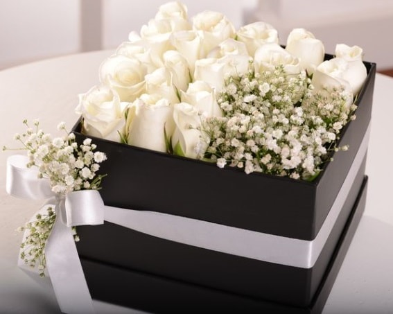 Kutu içerisinde 19 beyaz gül ve cipsofilya  Ankara çiçekçiler hediye çiçek yolla 