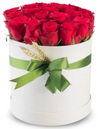 Özel kutuda 25 adet kırmızı gül çiçeği  çiçek satışı ankara balgat çiçekçi 
