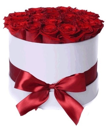 33 adet kırmızı gül özel kutuda kız isteme   Ankara çiçekçi mağazası 