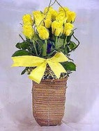  yurtiçi ve yurtdışı çiçek siparişi  sicak ates çiçek sepet modeli
